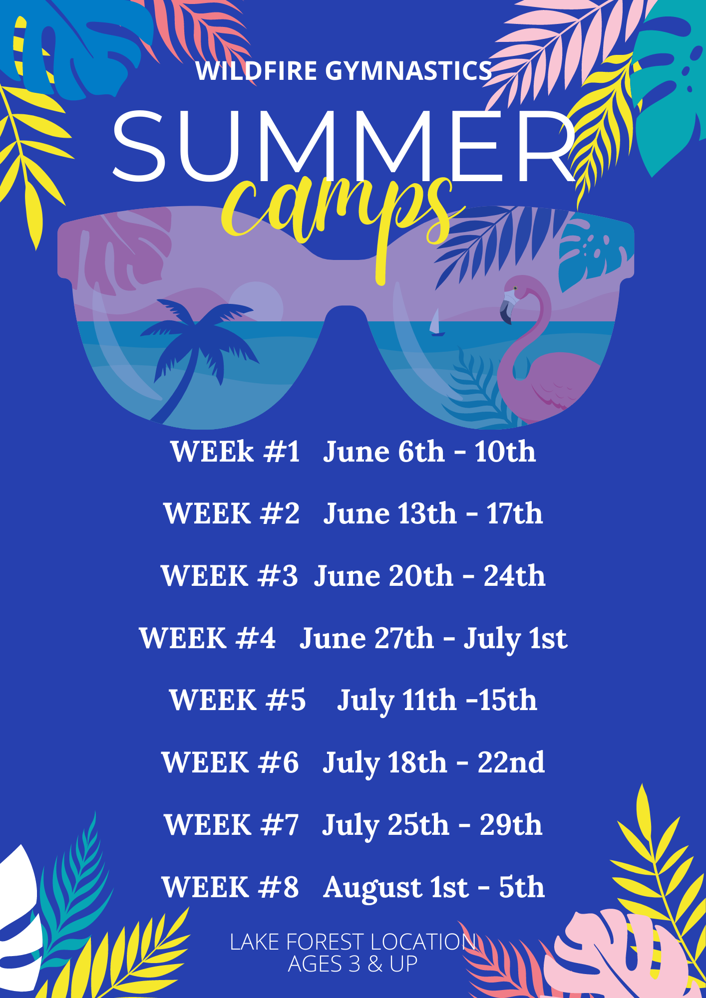 Summer Camps Flyer